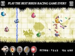 free iPhone app Birds Race