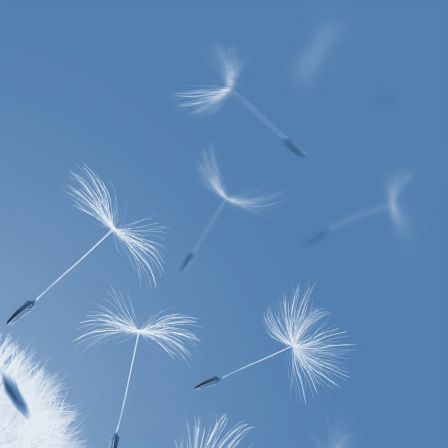 ipad10.jpg