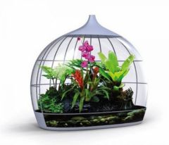 biome_smart_terrarium05_rect540.jpg