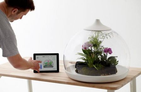 ipad-terrarium.jpg.492x0_q85_crop-smart.jpg