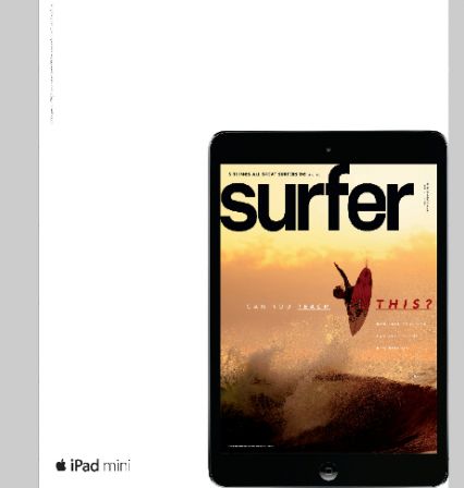 surferipadmini.jpg